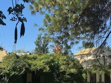place photo 51