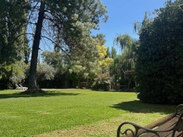 place photo 76
