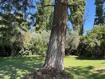 place photo 56