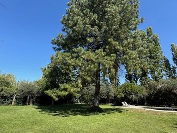 place photo 43
