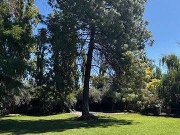 place photo 74
