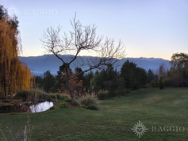 place photo 41