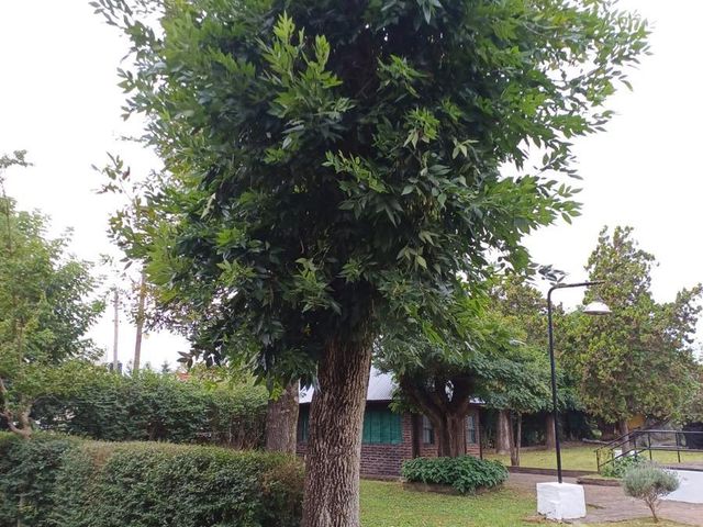 place photo 25