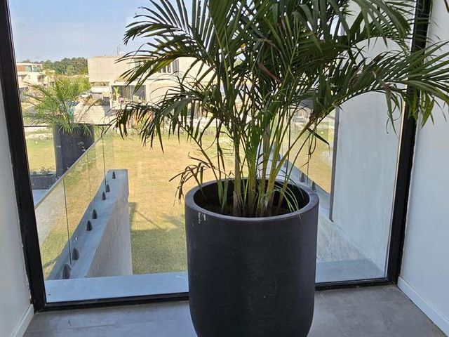 place photo 55