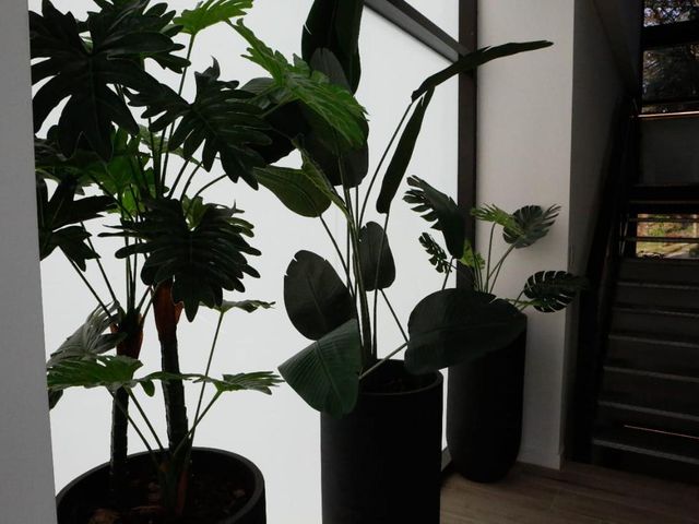 place photo 40
