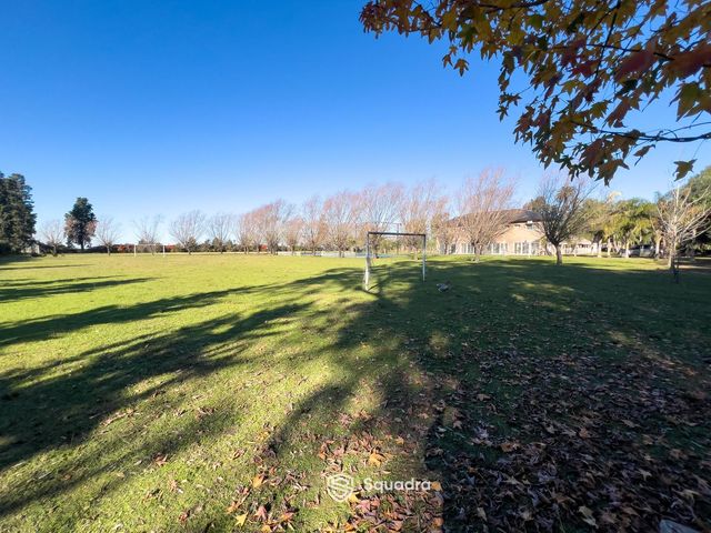 place photo 57