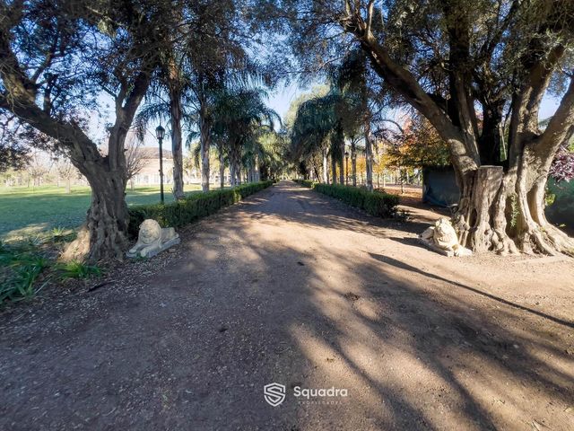 place photo 36