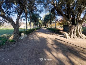 place photo 36