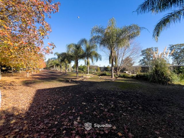 place photo 75