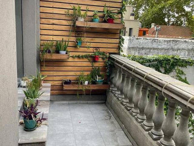 place photo 41
