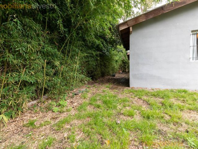 place photo 57