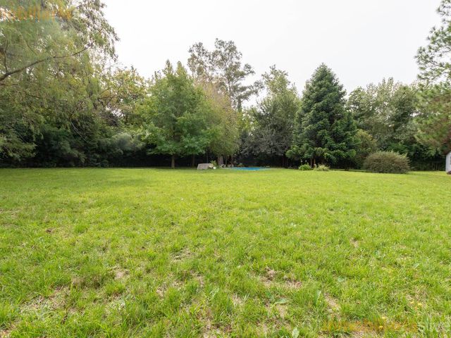 place photo 46
