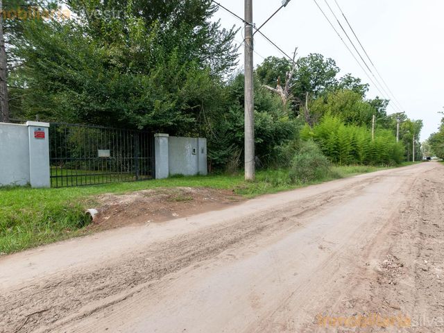 place photo 62