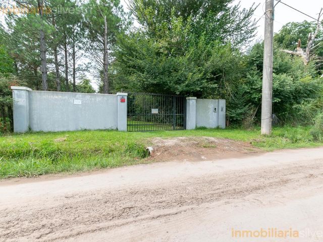 place photo 61