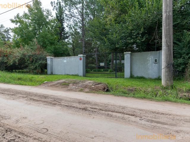 place photo 60