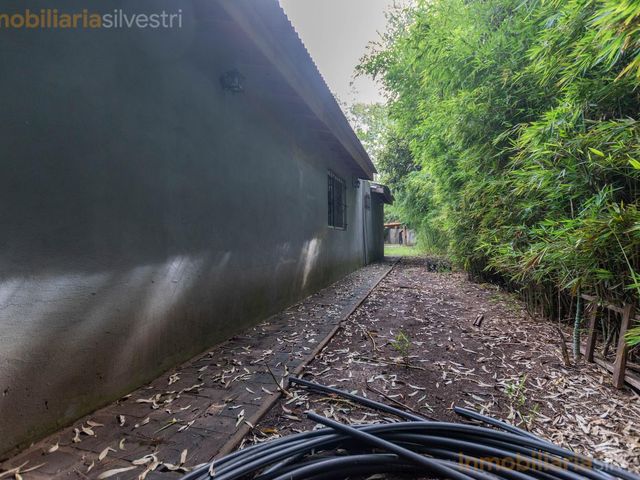 place photo 58