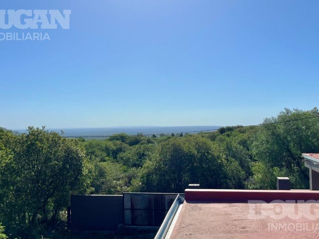 place photo 47