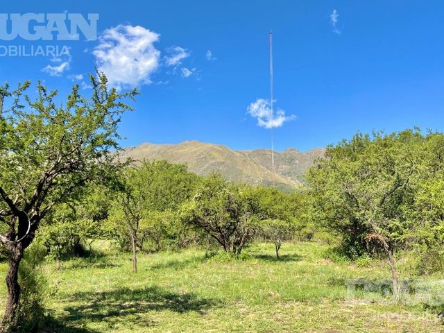 place photo 52