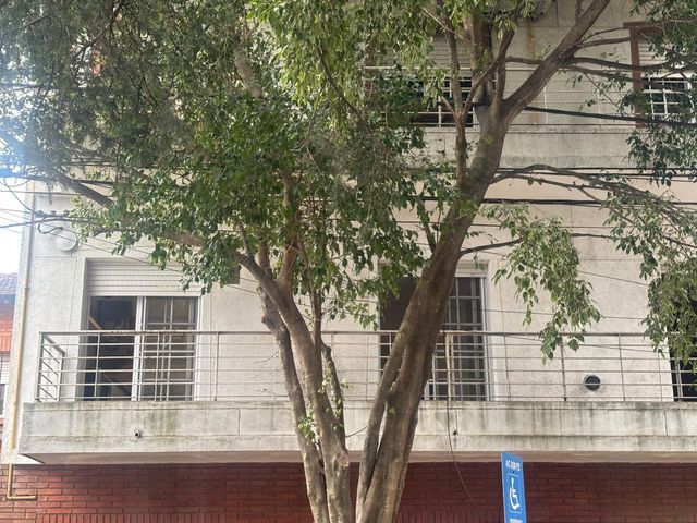 place photo 46