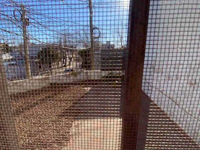 place photo 36