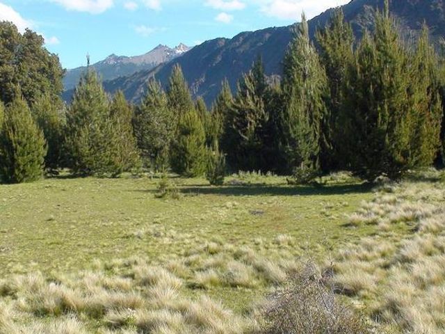 place photo 18