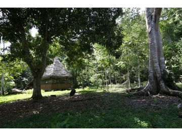place photo 37