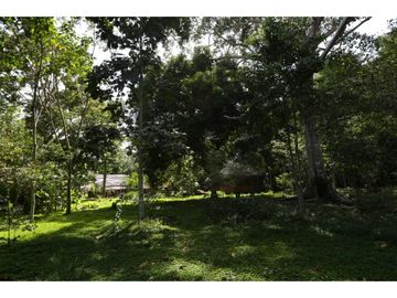 place photo 39