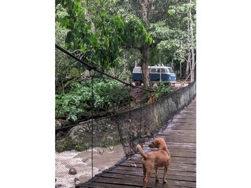 place photo 25