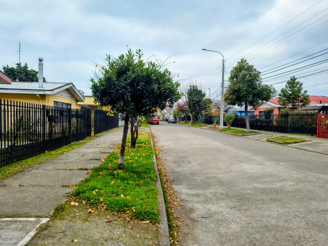 place photo 20