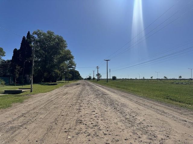 place photo 32