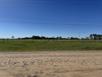 place photo 33