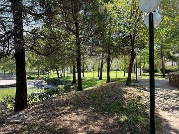 place photo 21