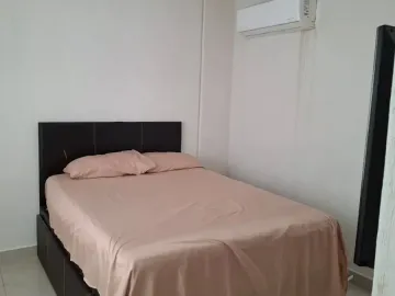 place photo 23