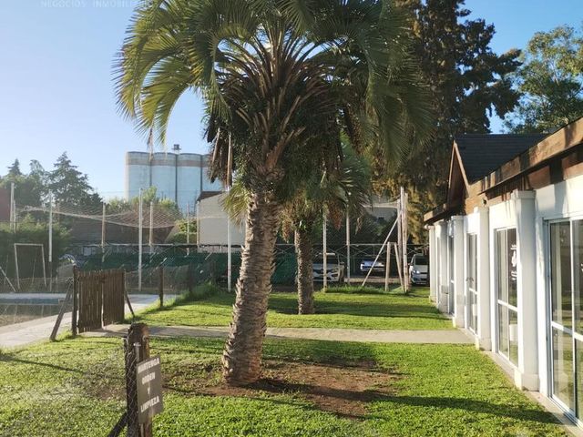 place photo 42