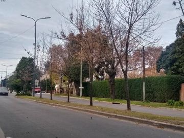 place photo 21