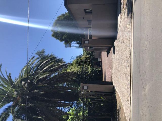 place photo 64