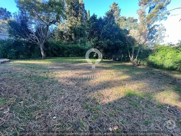 place photo 50