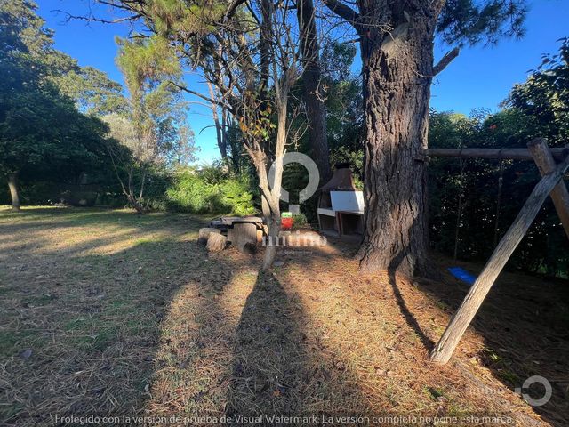 place photo 45