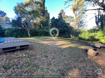 place photo 46