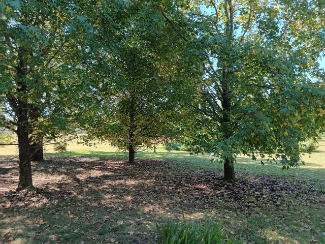 place photo 44