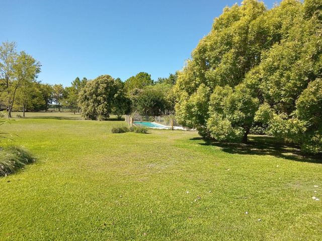 place photo 48