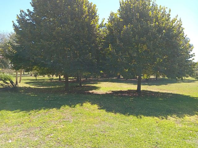 place photo 46