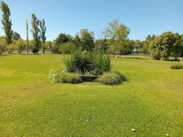 place photo 43