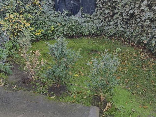 place photo 50