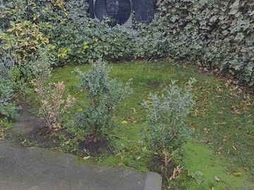 place photo 50