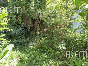 place photo 36