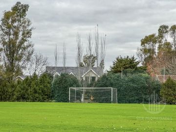 place photo 18