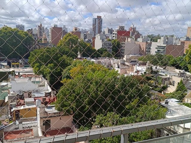 place photo 15