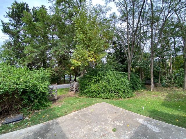 place photo 22