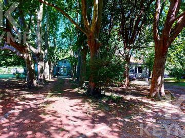 place photo 30